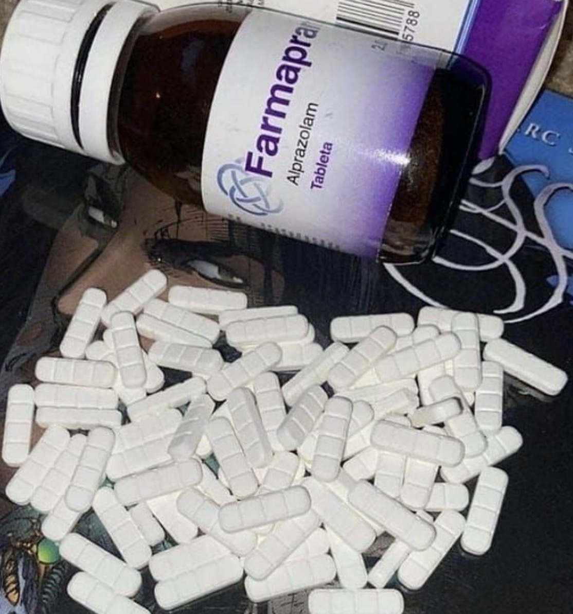 náhled